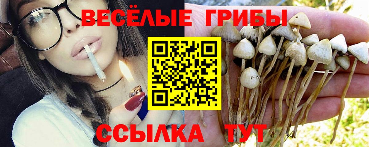 Галлюциногенные грибы ЛСД Сосновоборск